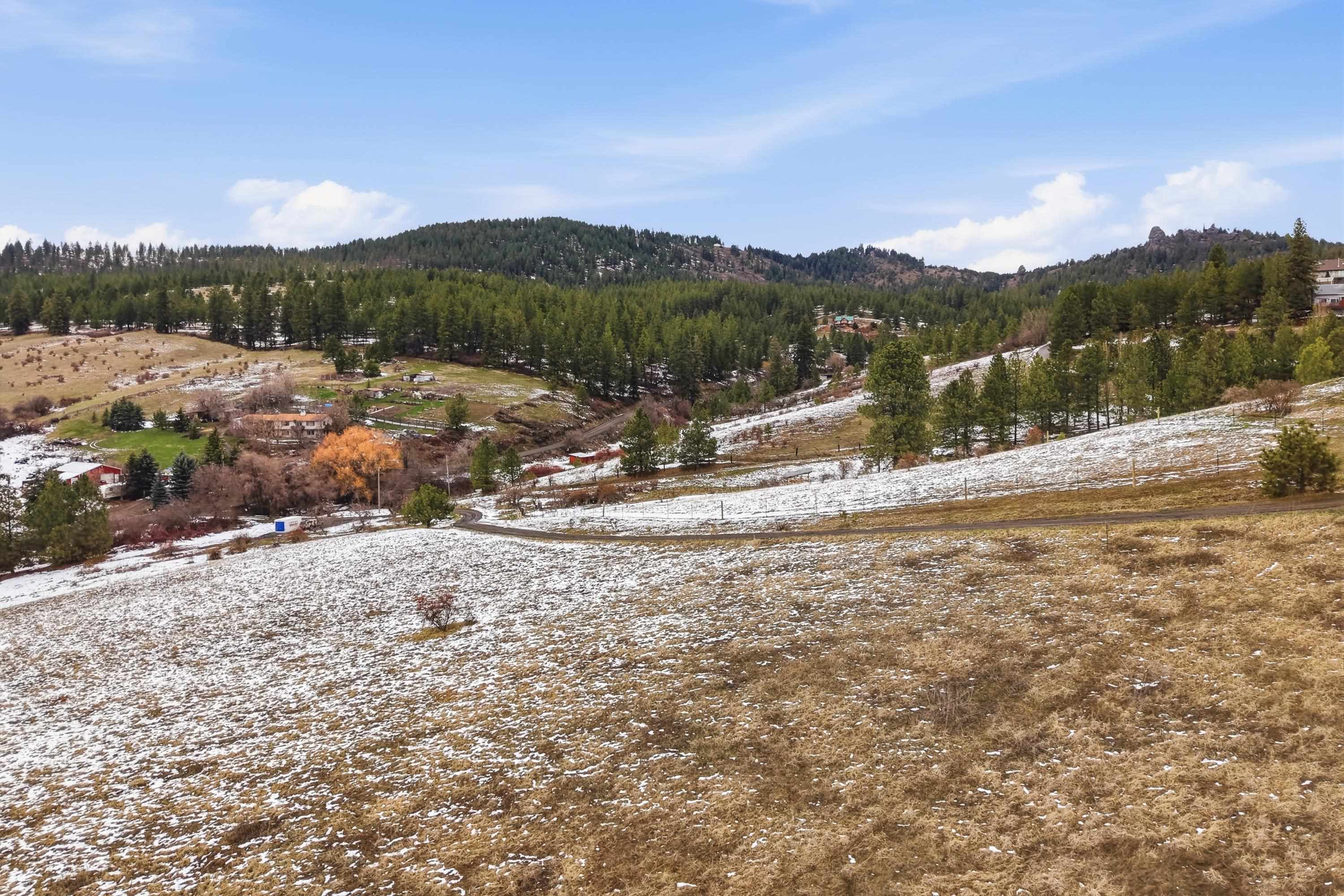 10017 South Stevens Creek Road Valleyford, WA 99036 - Photo 41 of 46