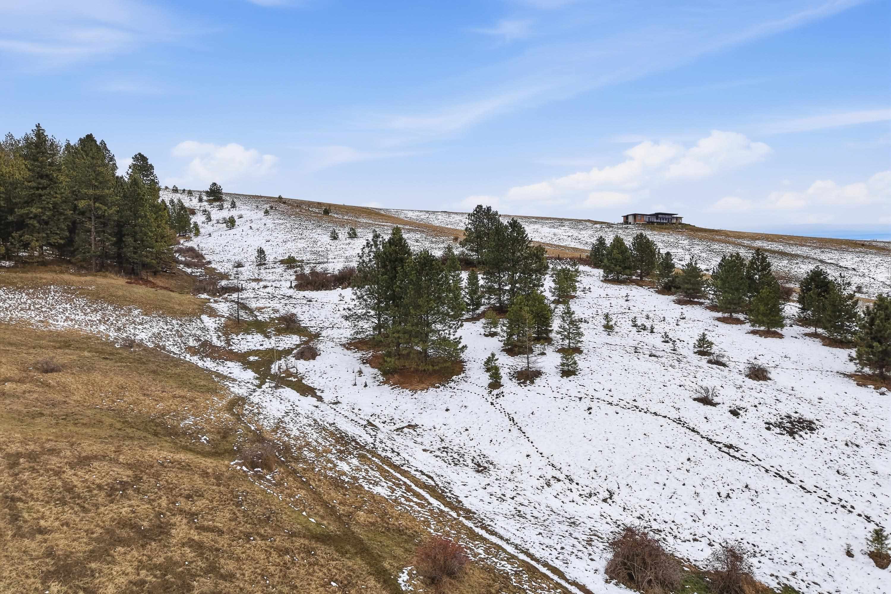 10017 South Stevens Creek Road Valleyford, WA 99036 - Photo 43 of 46