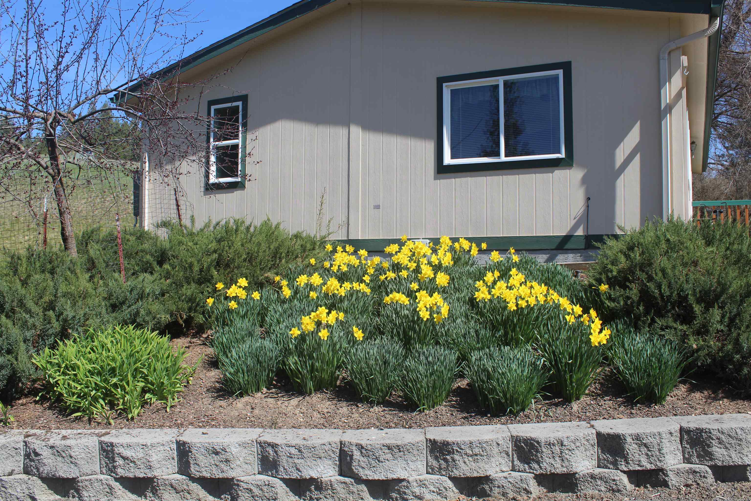 10017 South Stevens Creek Road Valleyford, WA 99036 - Photo 46 of 46