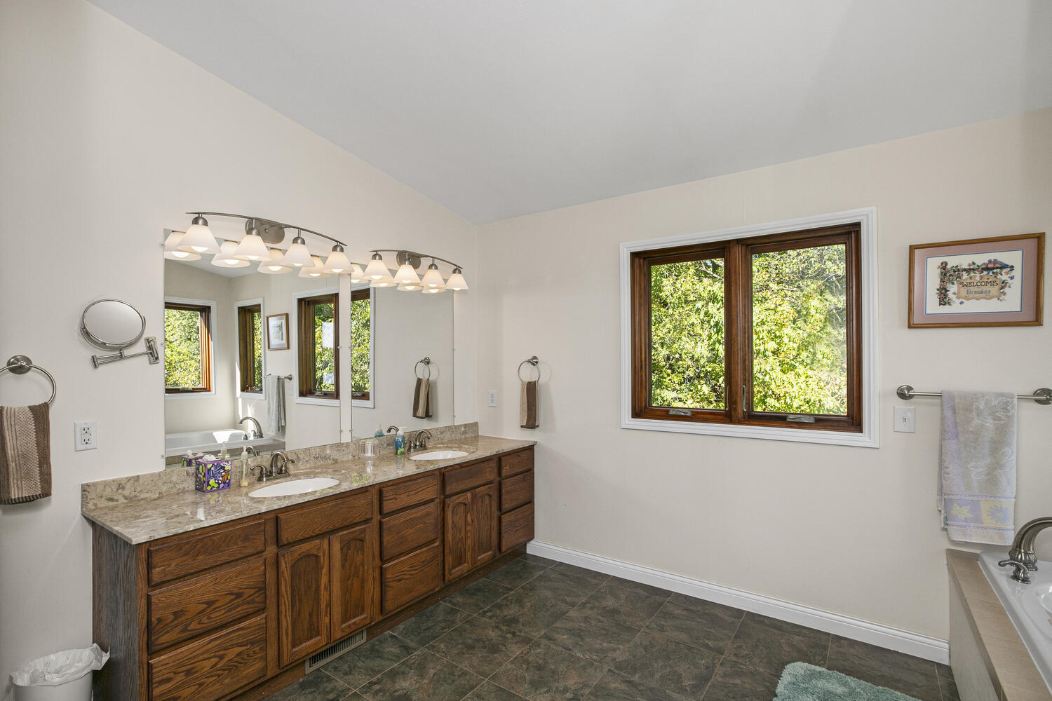 22533 Davis Drive Three Rivers, MI 49093 - Photo 26 of 57 22533 Davis Dr Three Rivers MI-large-031