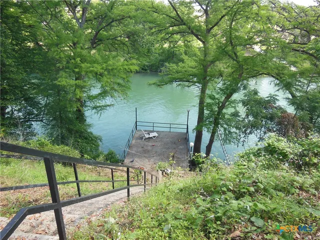 a close up of a tree