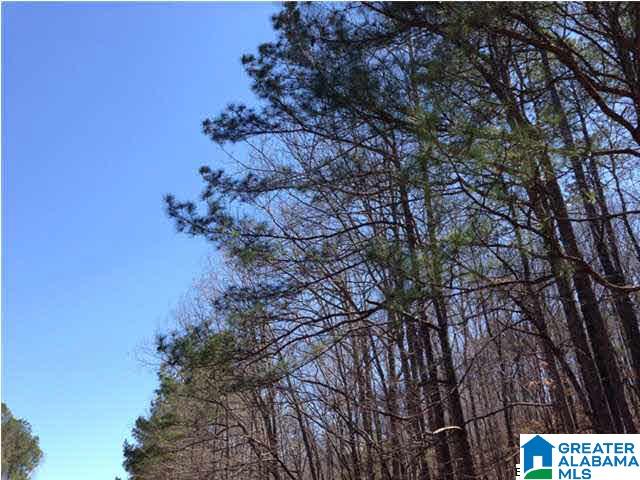 0 Woolfolk Road, Unit 3 ACRES Munford, AL 36268 - Photo 8 of 24