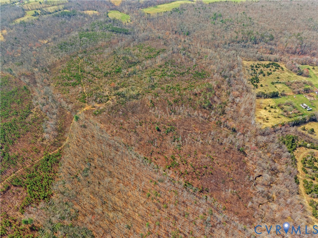 80.70-acres Kendall Road Orange, VA 22960 - Photo 5 of 21 Expansive wooded acreage featuring mixed tree cove