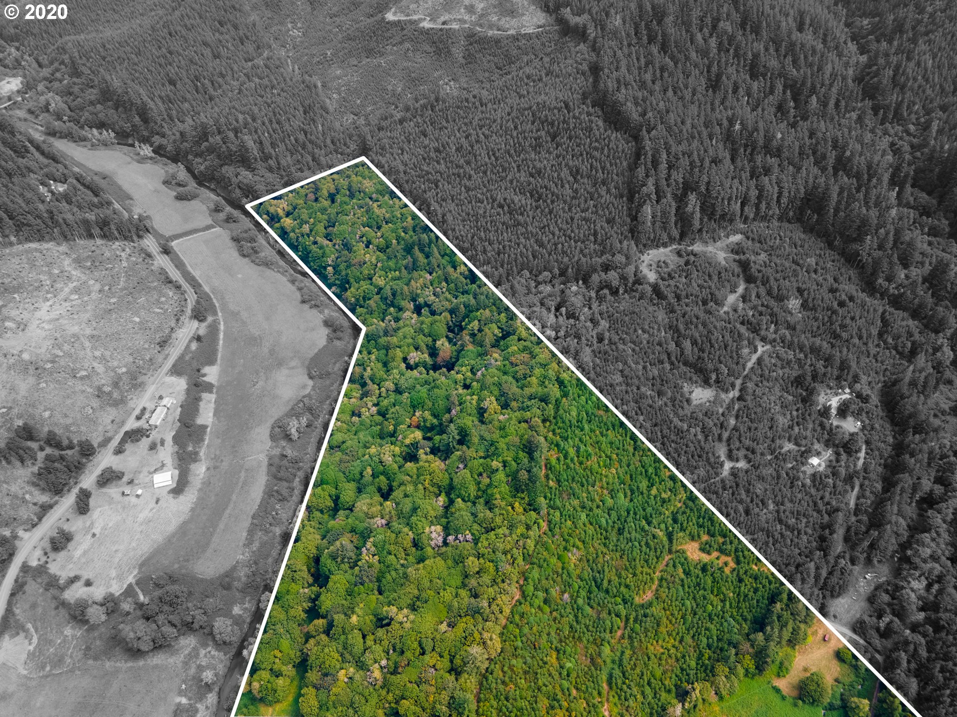 56218 Weekly Creek Road Myrtle Point, OR 97458 - Photo 22 of 32 Gallery Image 22