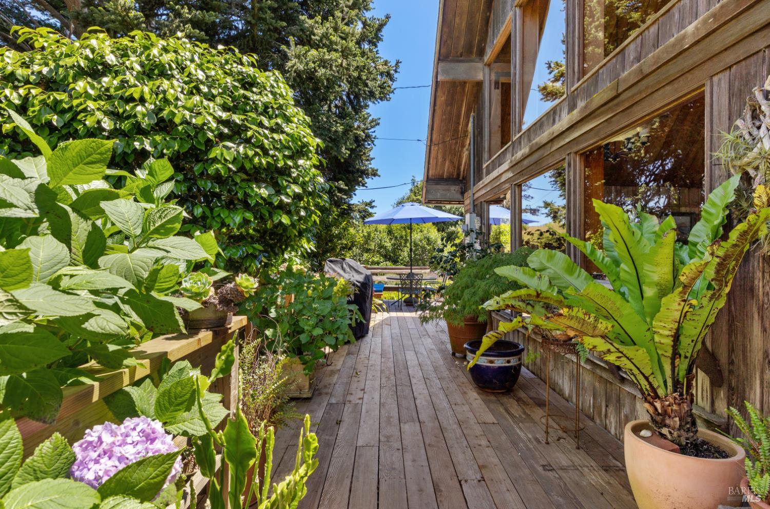 385 Cedar Road Bolinas, CA 94924 - Photo 8 of 70