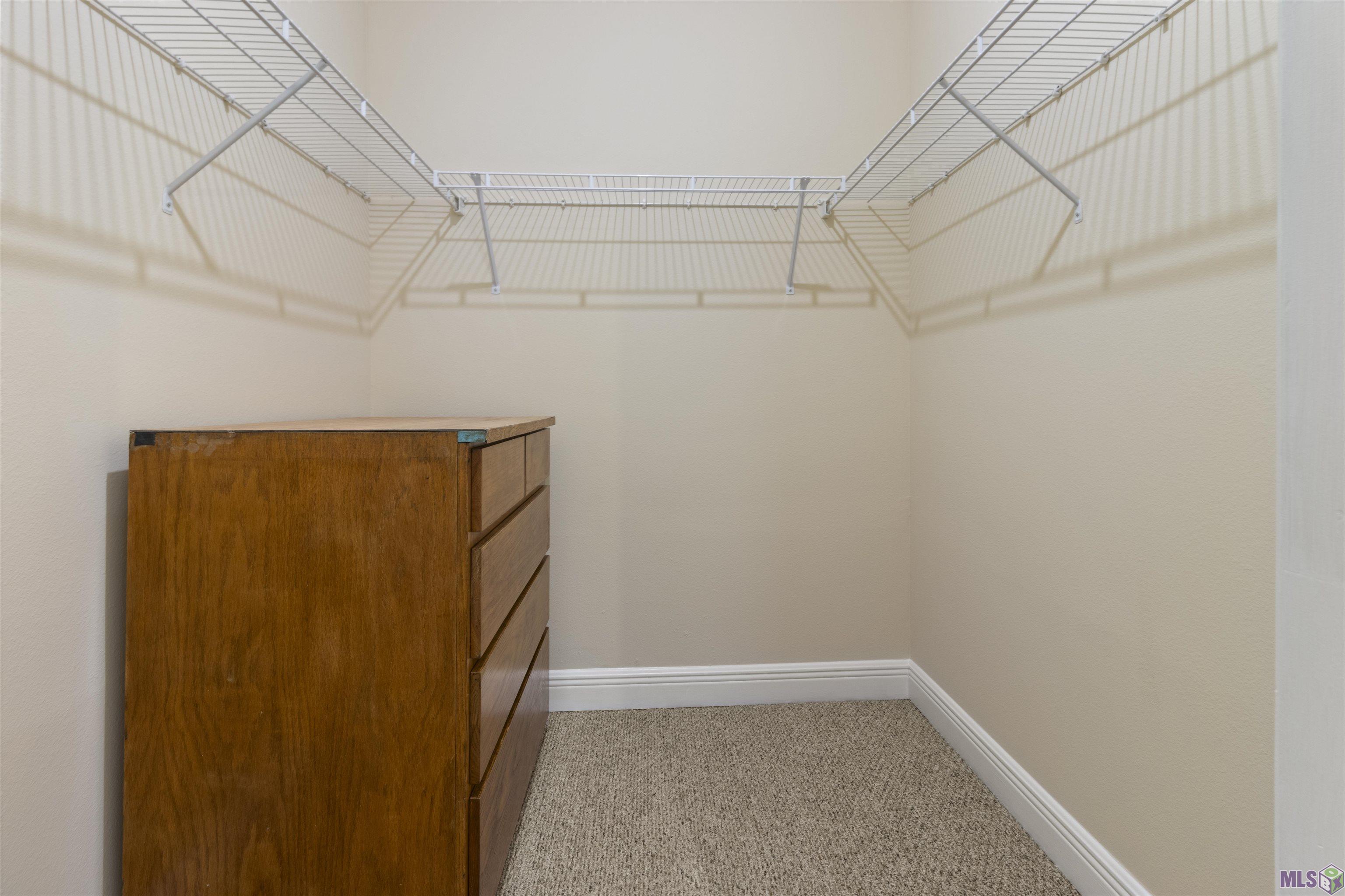 5167 Etta Street, Unit 9F Baton Rouge, LA 70820 - Photo 10 of 24 Primary Bedroom's Closet