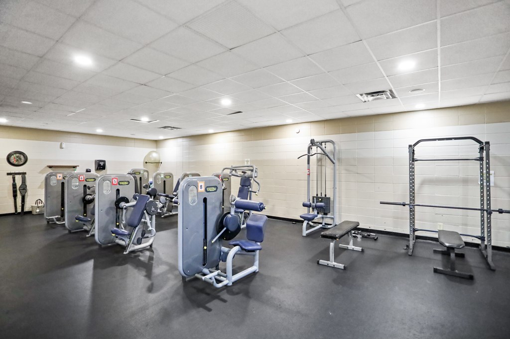 96 Holiday Court Ellijay, GA 30540 - Photo 48 of 51 a view of a room with gym equipment