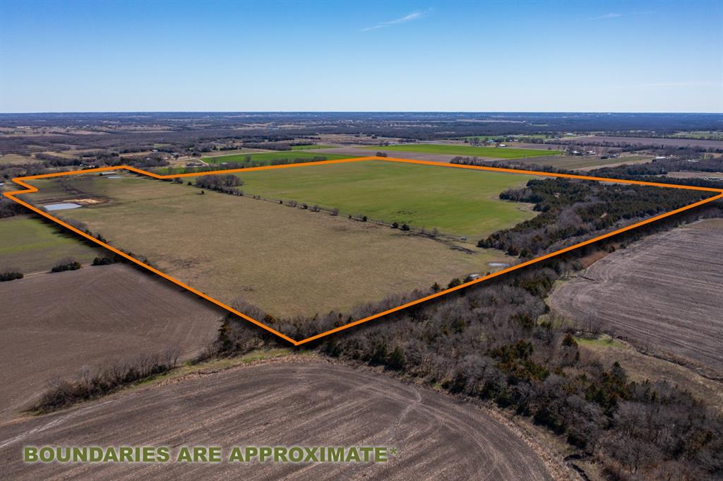 10699 Fm 1377 Blue Ridge Blue Ridge, TX 75424 - Photo 1 of 1 Gallery Image 1