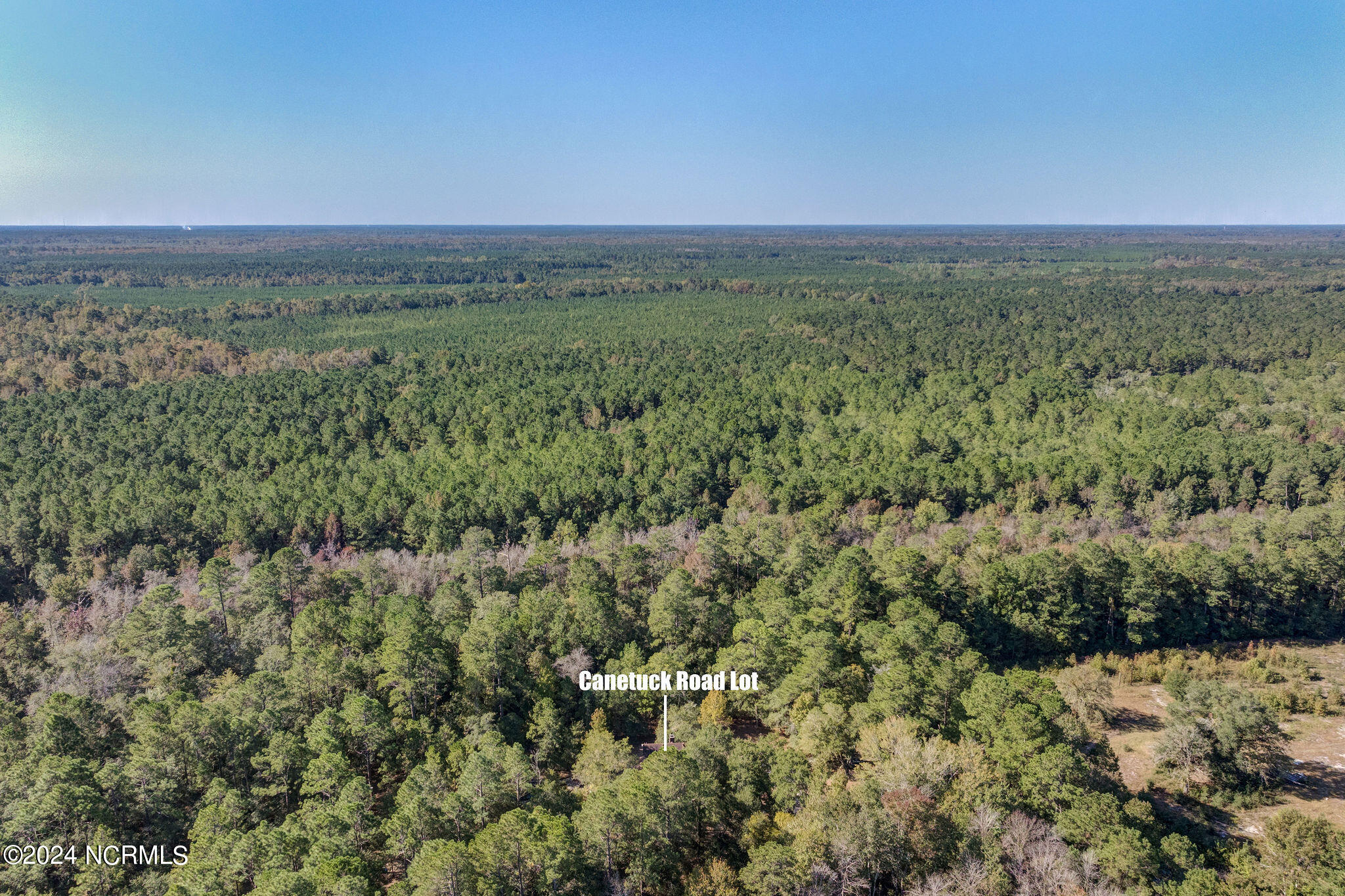 6715 Canetuck Road Currie, NC 28435 - Photo 30 of 74 6621CanetuckDrone-7