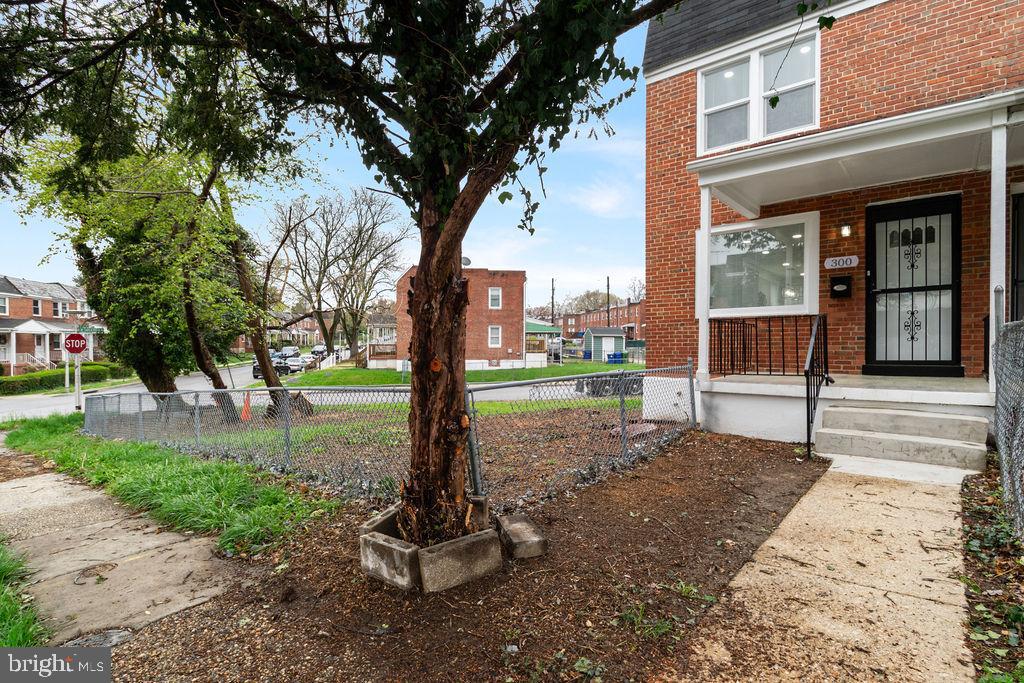 300 Denison Street Baltimore, MD 21229 - Photo 3 of 25 a view of a street with a large tree