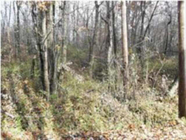 1 Geyer Road Boonville, IN 47601 - Photo 2 of 4 Gallery Image 2