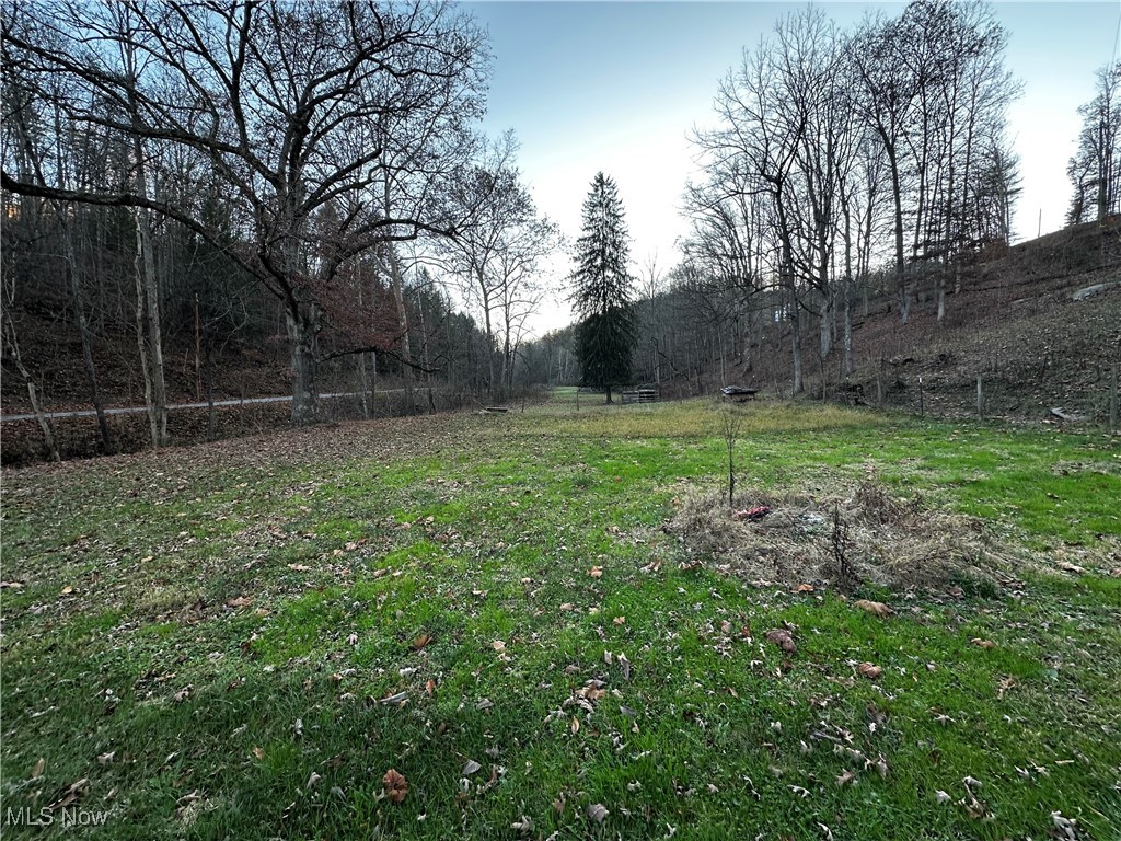 2233 Ovapa Road Procious, WV 25164 - Photo 17 of 39