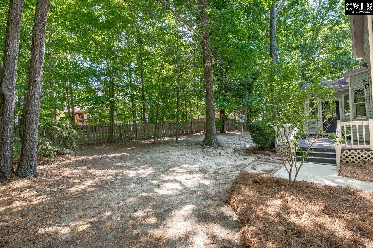 221 Baron Road Lexington, SC 29072 - Photo 38 of 45