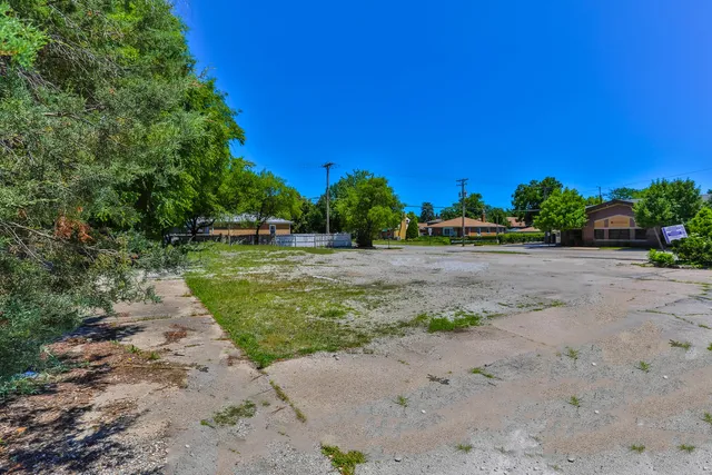 a view of a park with large trees