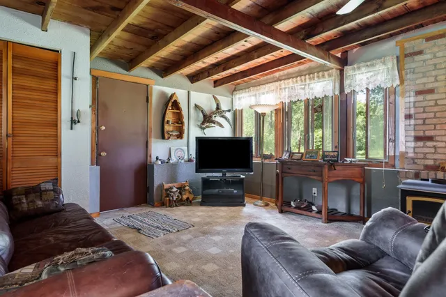 a view of a yard with plants and trees