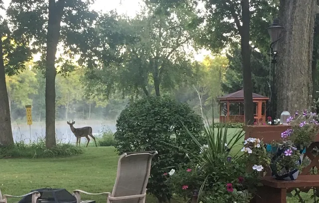 a view of a dining room with furniture large windows and wooden floor