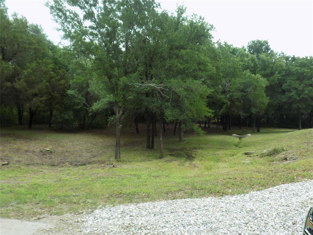 203 South Ridgeview Court Azle, TX 76020 - Photo 24 of 29 What a view!