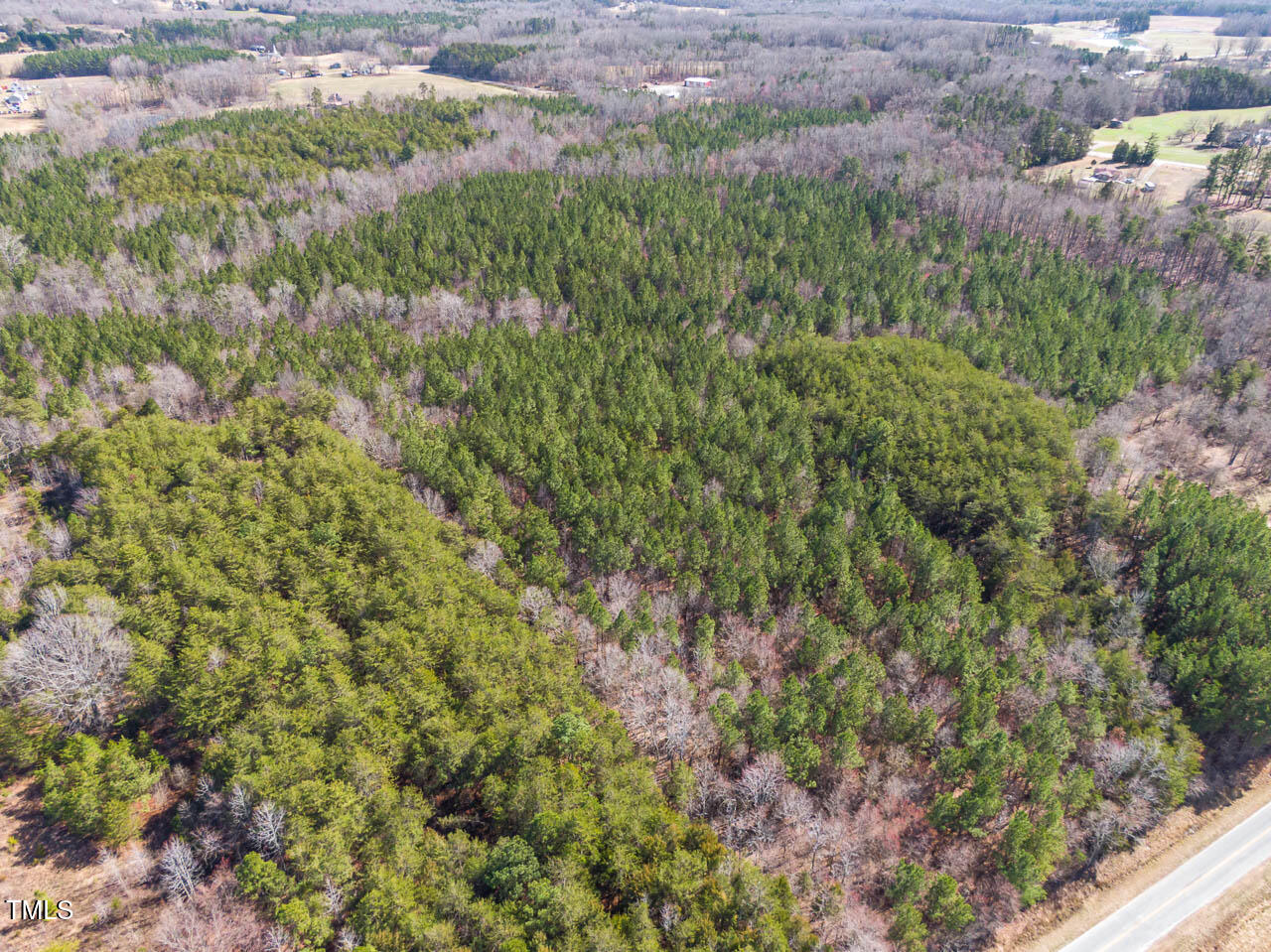 7275 Atkins Road Mebane, NC 27302 - Photo 4 of 7 a view of a lush green forest with large trees