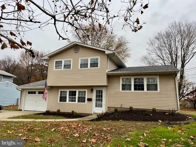 a house that has a large tree in it