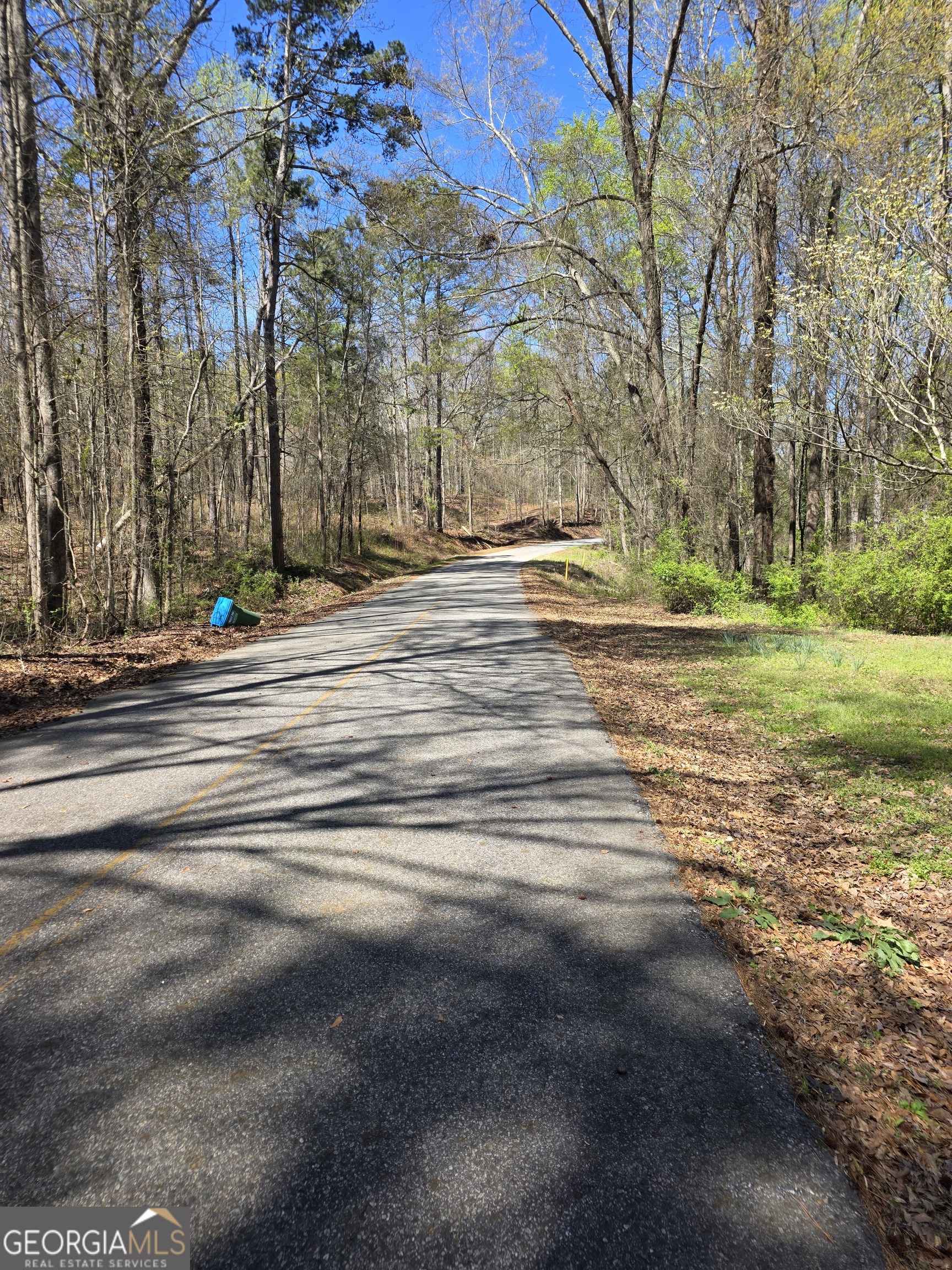 340 Browns Road Winder, GA 30680 - Photo 4 of 18