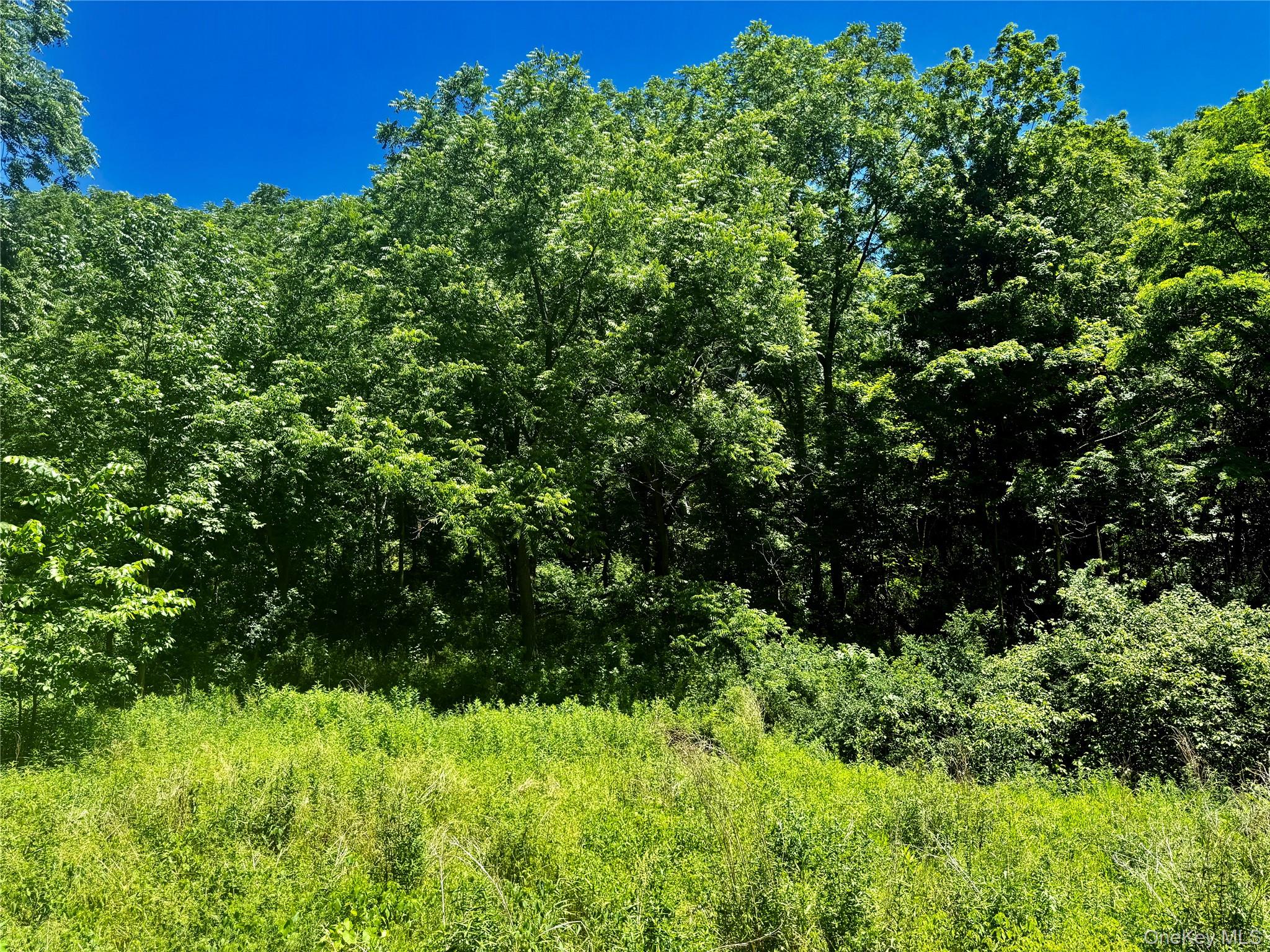 513 Rossway Road Pleasant Valley, NY 12569 - Photo 4 of 17 Road Frontage