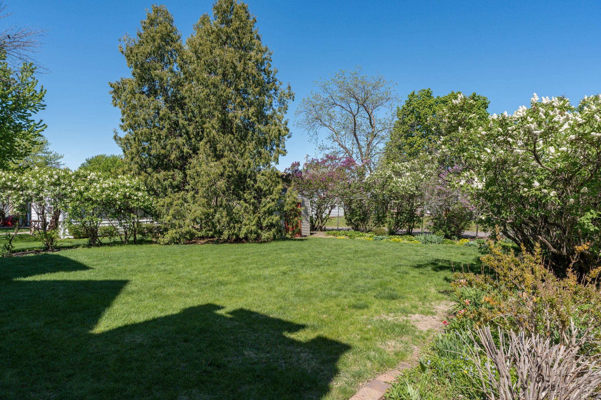 800 Center Street New Ulm, MN 56073 - Photo 81 of 90