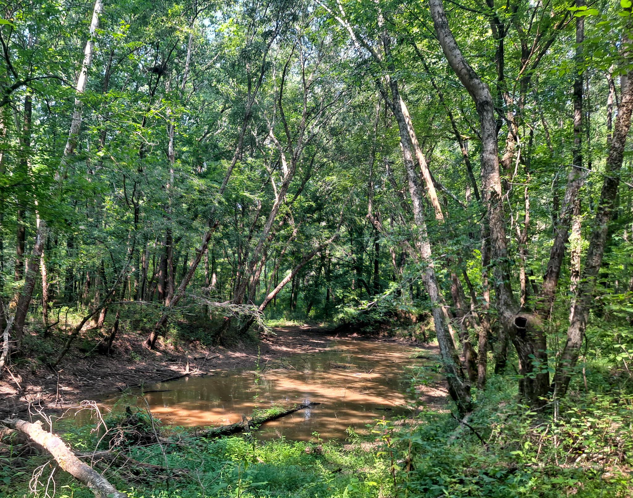 Mcdade Road Carbon Hill, AL 35549 - Photo 14 of 21 Gallery Image 14