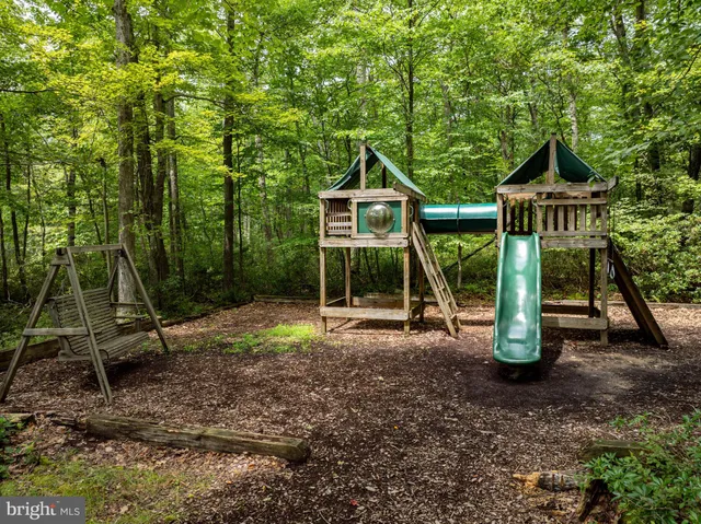 a view of a yard with potted plants