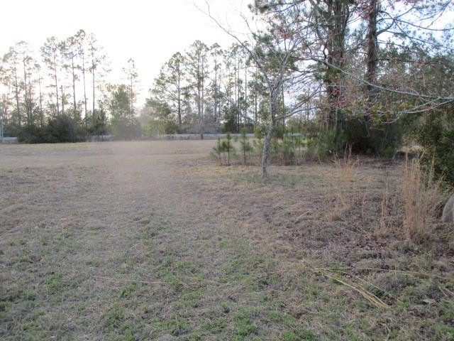 6434 Crews Community Road Folkston, GA 31537 - Photo 13 of 16 Photo 13