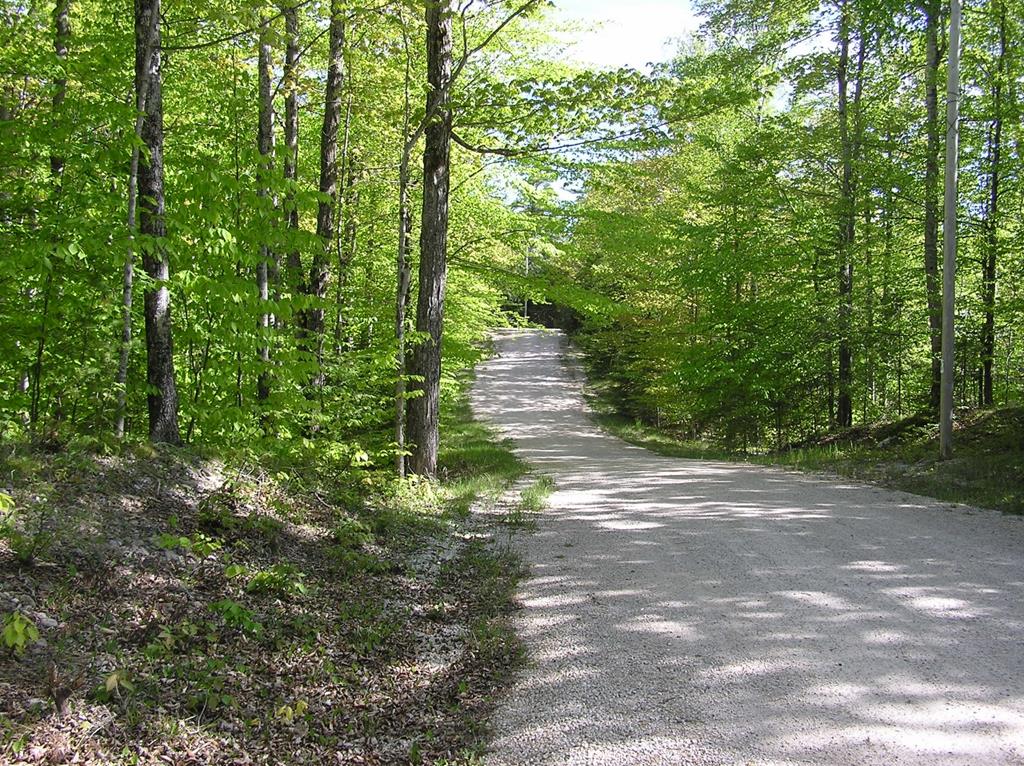 Tbd Ridgewood Drive Washington Island, WI 54246 - Photo 1 of 4