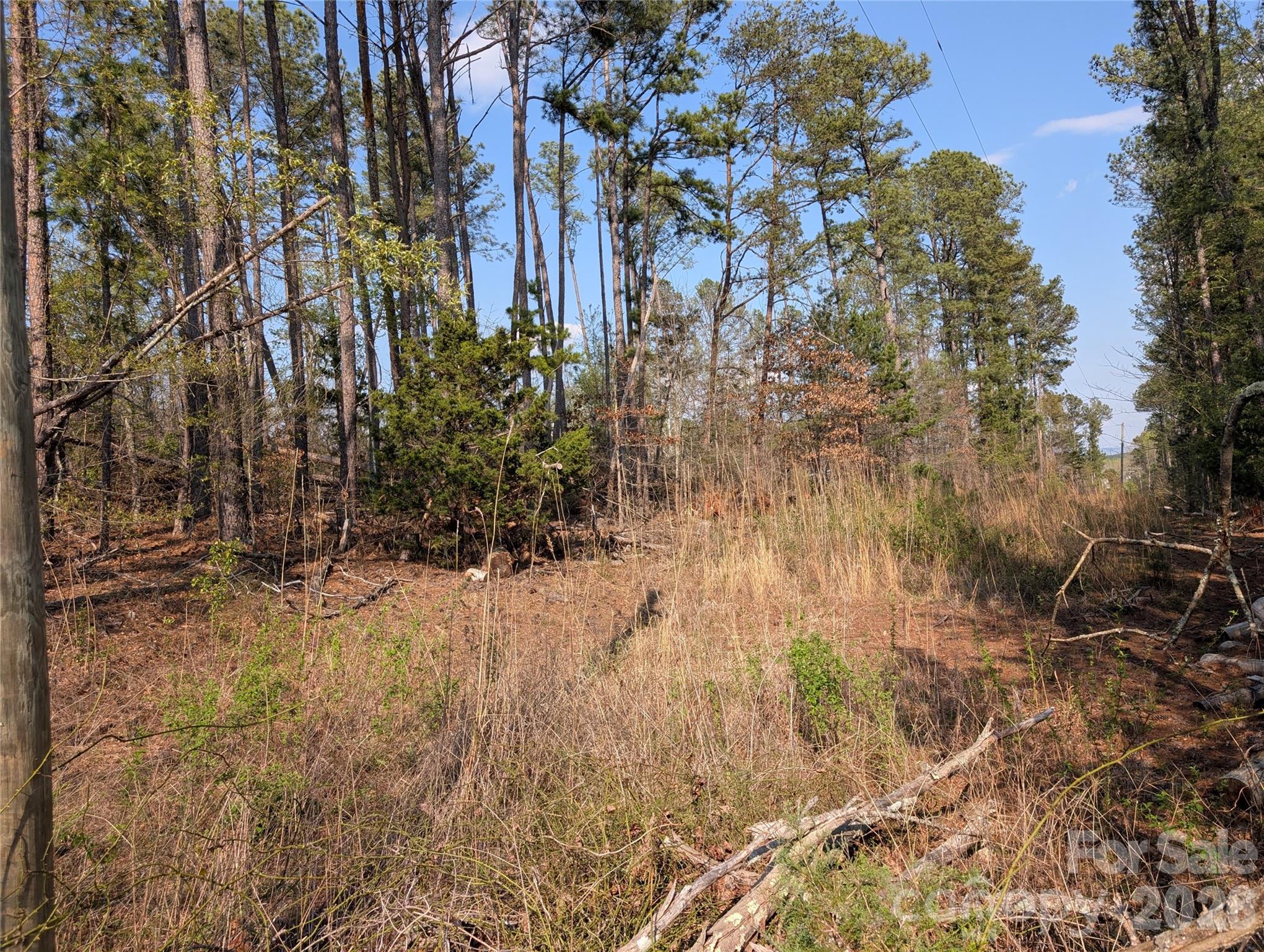 Tbd Whitesides Road Forest City, NC 28043 - Photo 2 of 4 a view of a yard with plants and trees