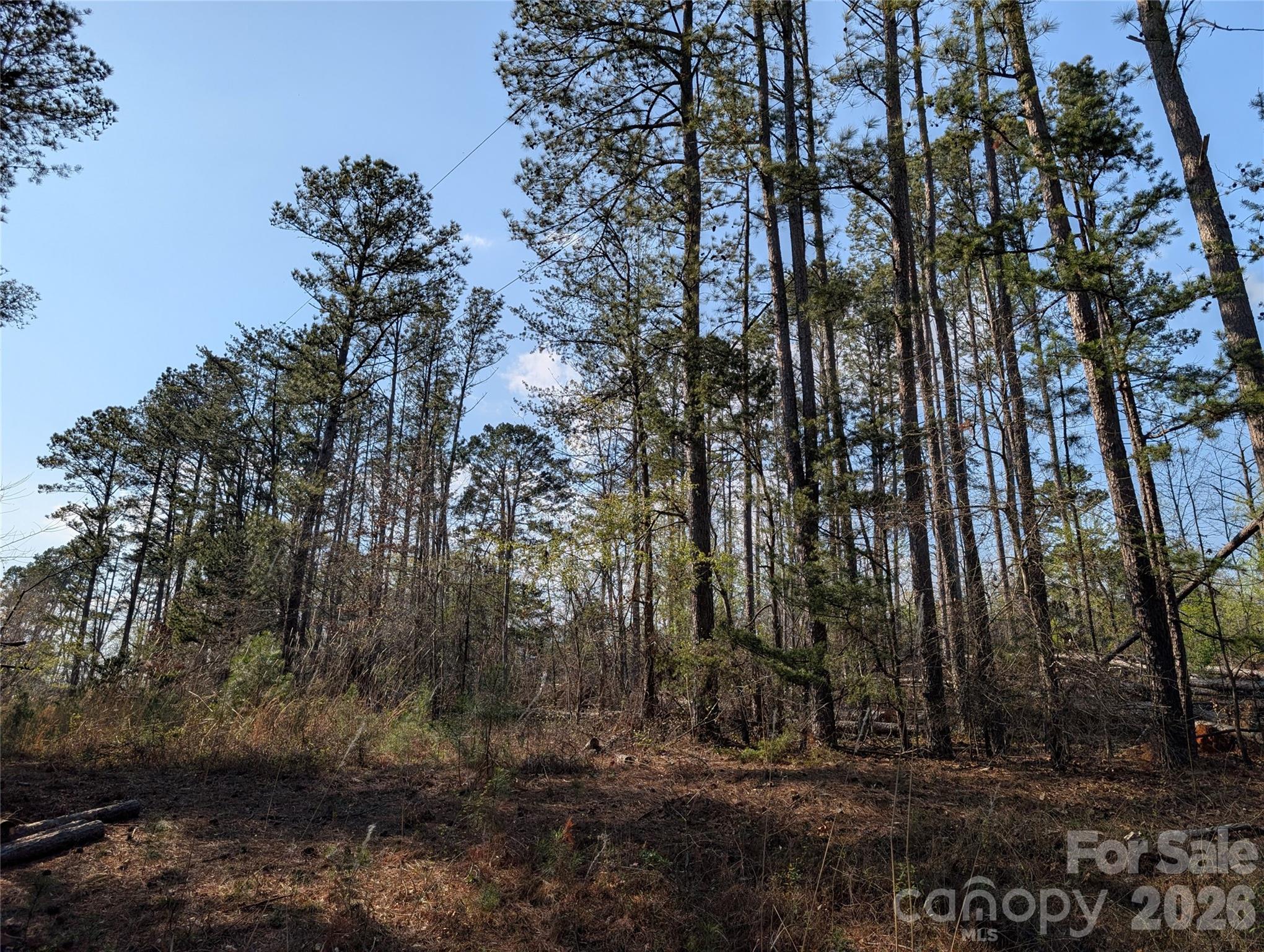 Tbd Whitesides Road Forest City, NC 28043 - Photo 4 of 4 a view of backyard with green space