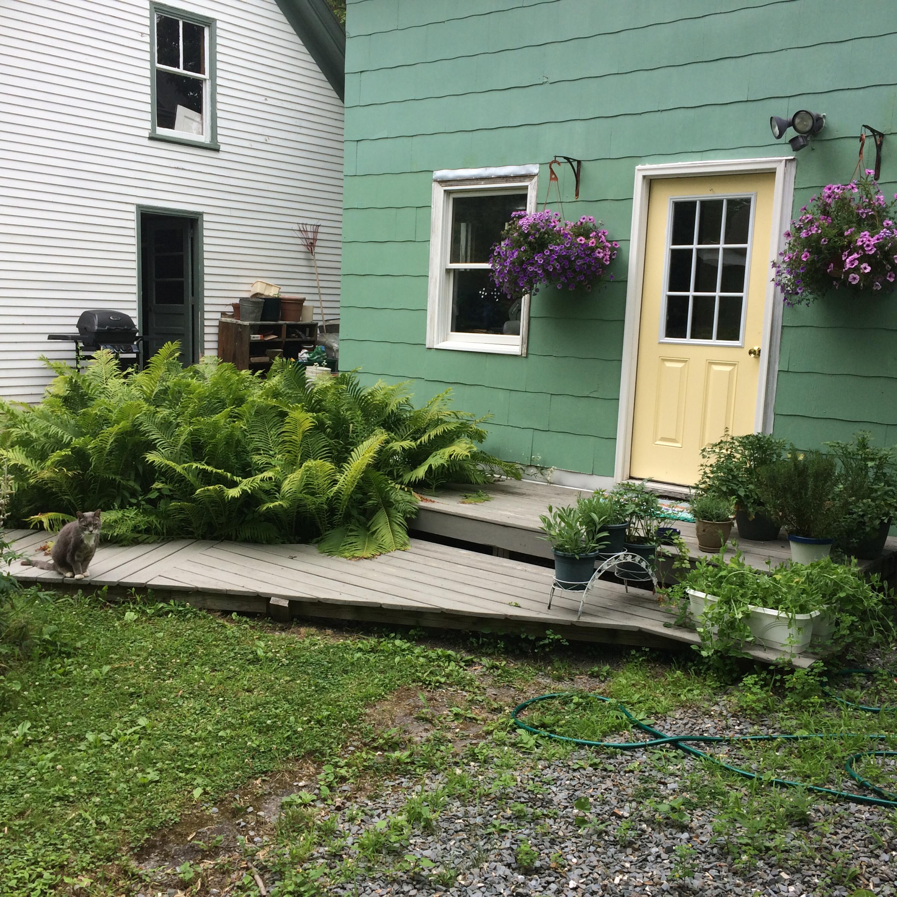 38 Spring Street Old Town, ME 04468 - Photo 42 of 43 IMG_1614