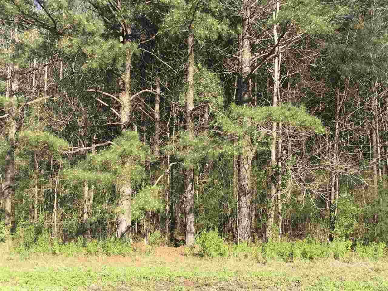 643 A Douglas Road Pickens, MS 39146 - Photo 3 of 9 Photo 3