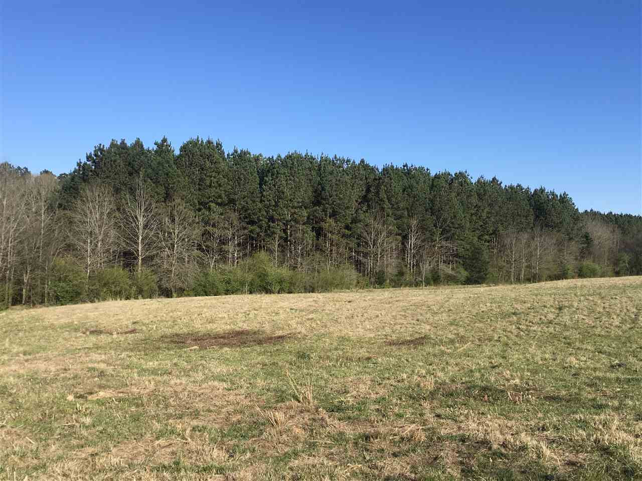 643 A Douglas Road Pickens, MS 39146 - Photo 5 of 9 Photo 5