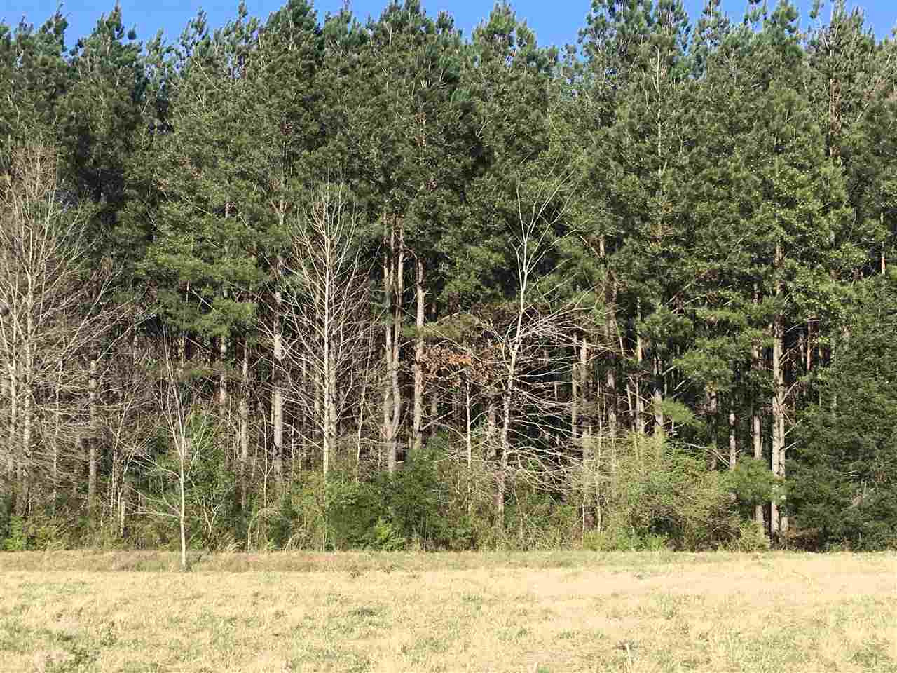643 A Douglas Road Pickens, MS 39146 - Photo 8 of 9 Photo 8