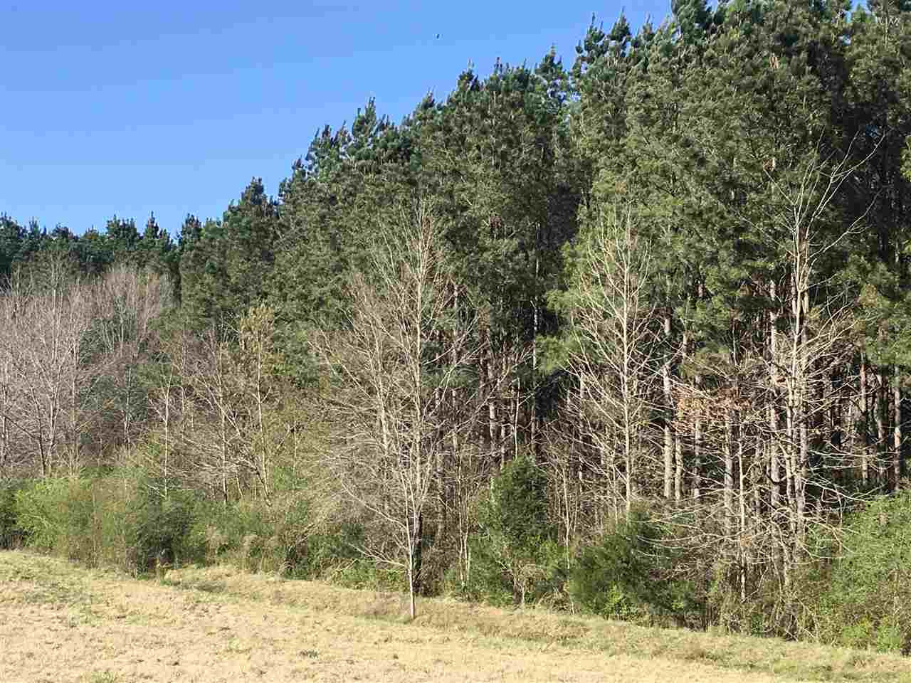 643 A Douglas Road Pickens, MS 39146 - Photo 9 of 9 Photo 9