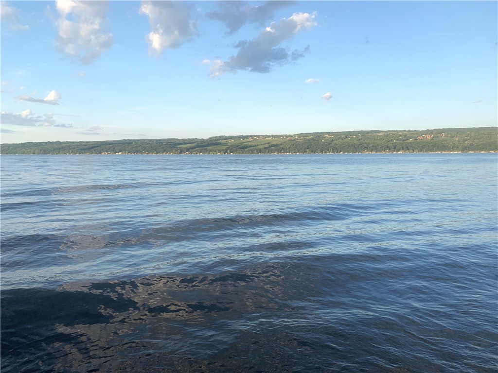Hunt Road Rock Stream, NY 14878 - Photo 1 of 1 view from the beach