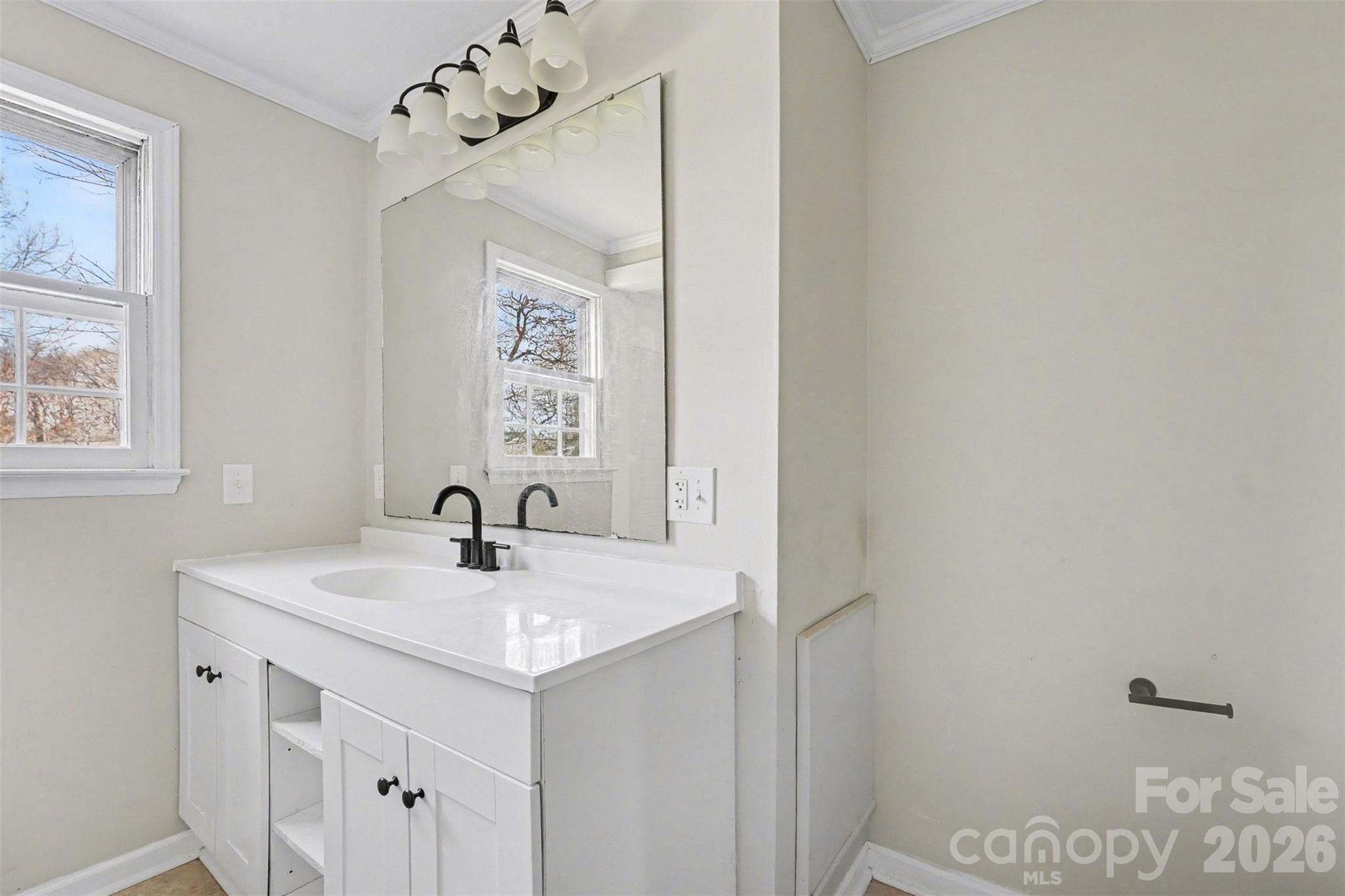 1440 Majolica Road Salisbury, NC 28147 - Photo 5 of 25 a bathroom with a sink vanity and a mirror