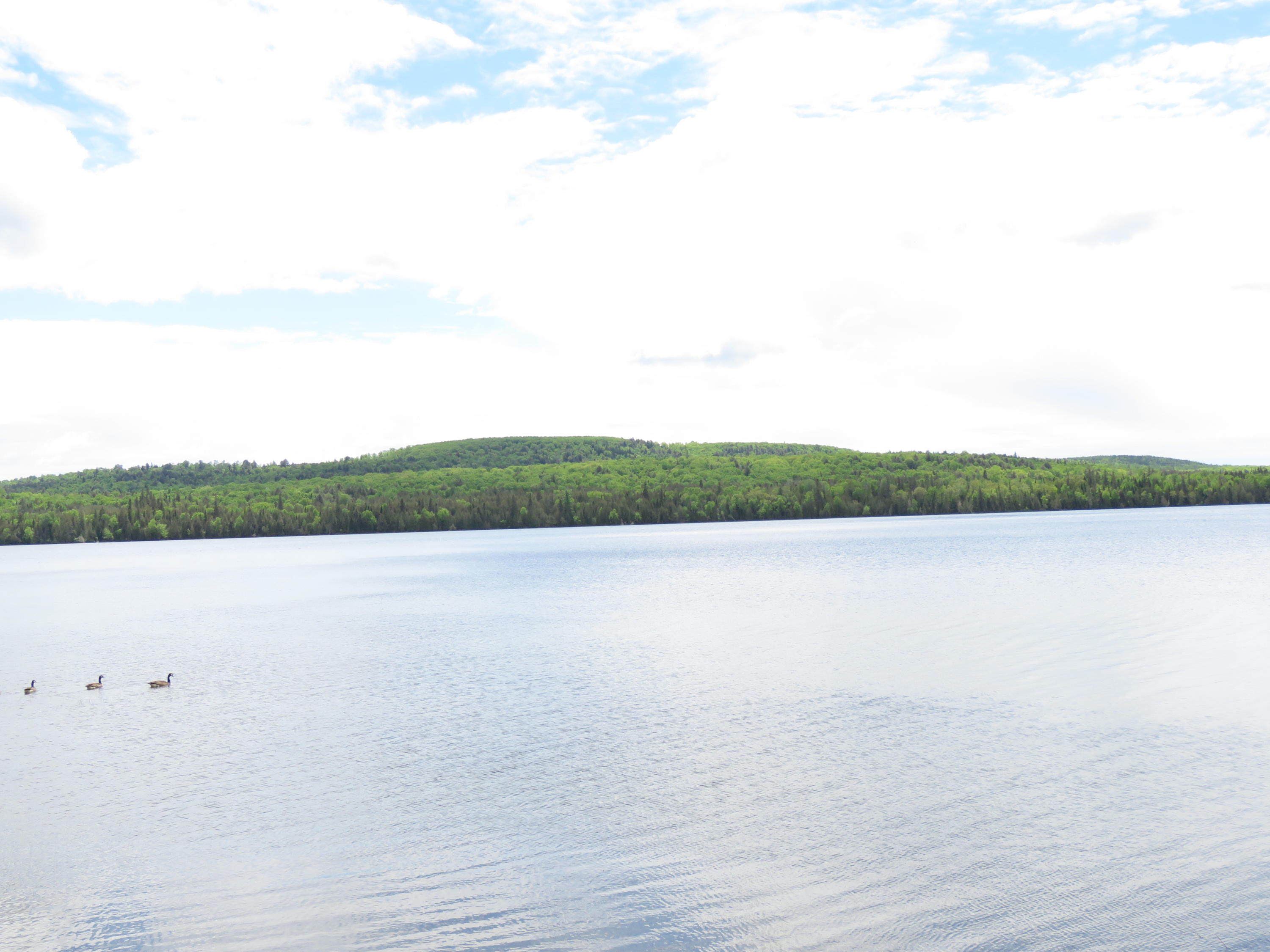 326 Sinclair Road Sinclair, ME 04779 - Photo 19 of 61 IMG_9690