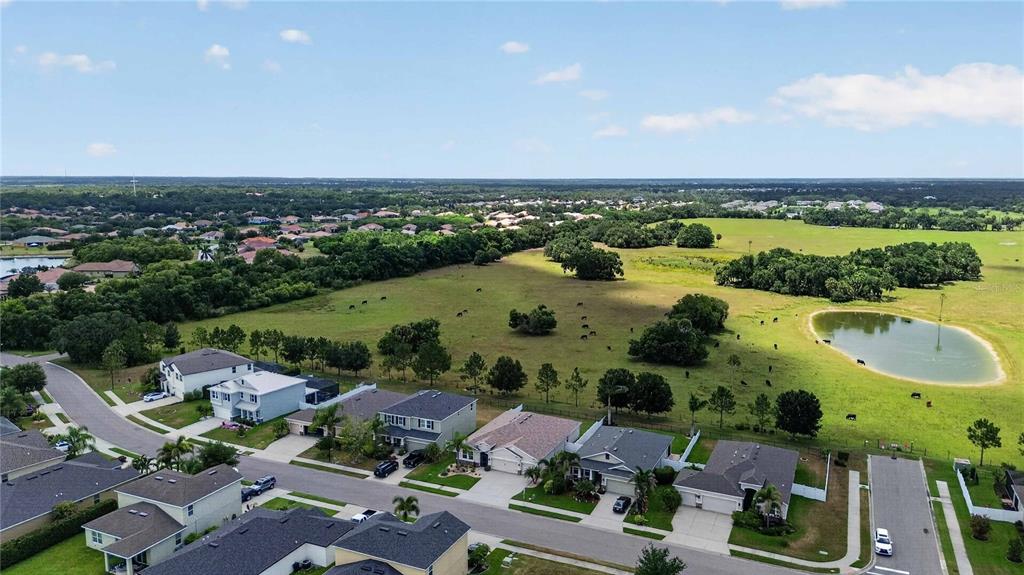 14907 Trinity Fall Way Bradenton, FL 34212 - Photo 35 of 52