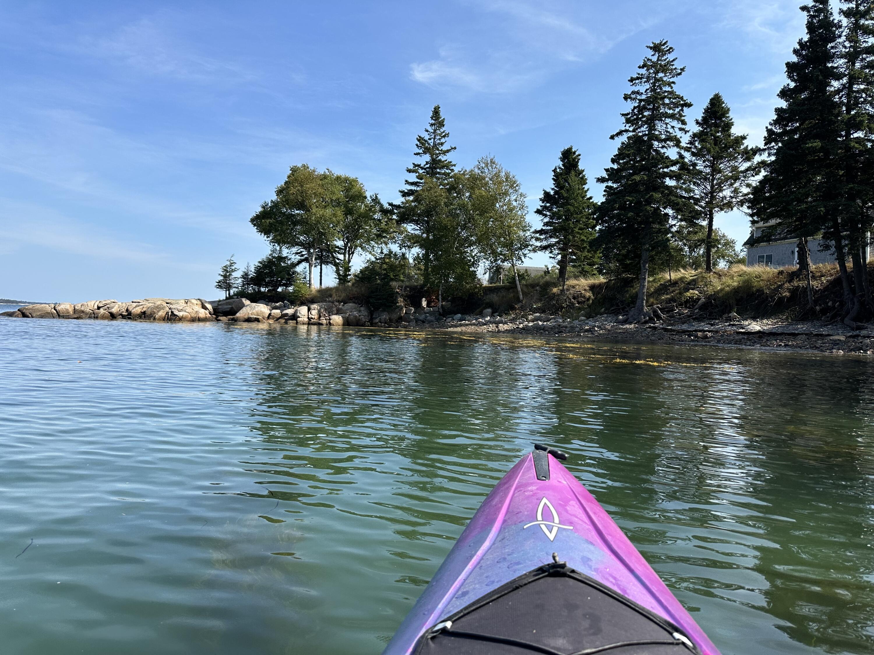 8 Youngs Point Road Gouldsboro, ME 04624 - Photo 3 of 51 Some of the waterfrontage from a kayak