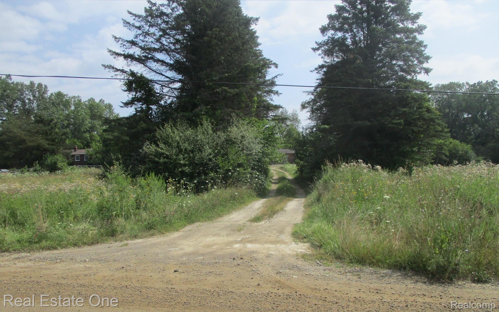 23515 Elwell Road Belleville, MI 48111 - Photo 39 of 41 IMG_2577.JPG