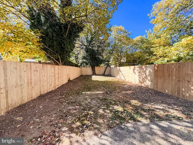 a view of backyard with tree