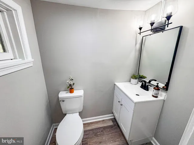a bathroom with a sink mirror toilet and vanity