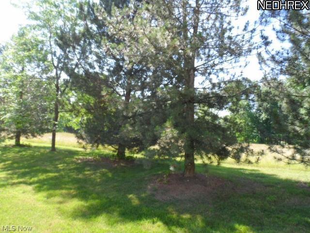 1041 Parsons Road Grafton, OH 44044 - Photo 4 of 19 Gallery Image 4