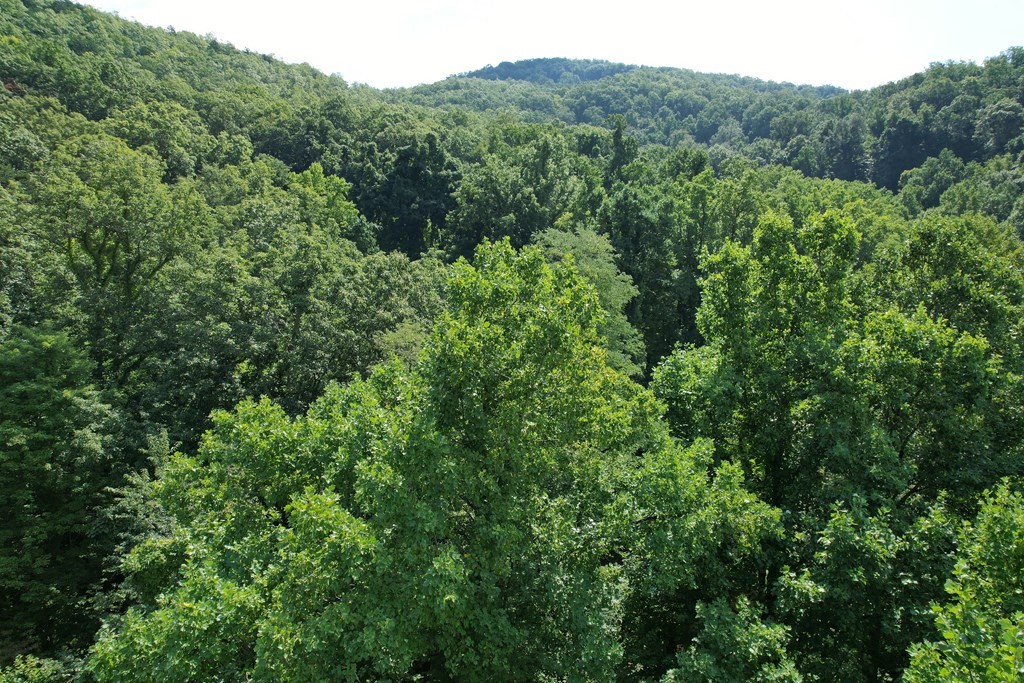 21 Kulpan Way Sevierville, TN 37862 - Photo 5 of 25