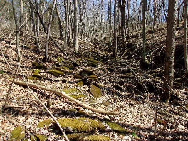 0 Wellsburg Walcott Road Foster, KY 41043 - Photo 3 of 14 Gallery Image 3