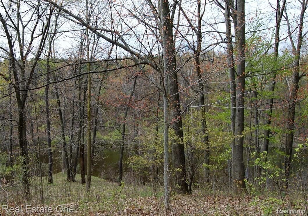 4704 Baldwin Road Metamora, MI 48455 - Photo 6 of 29 DSC_1606 (2).jpg