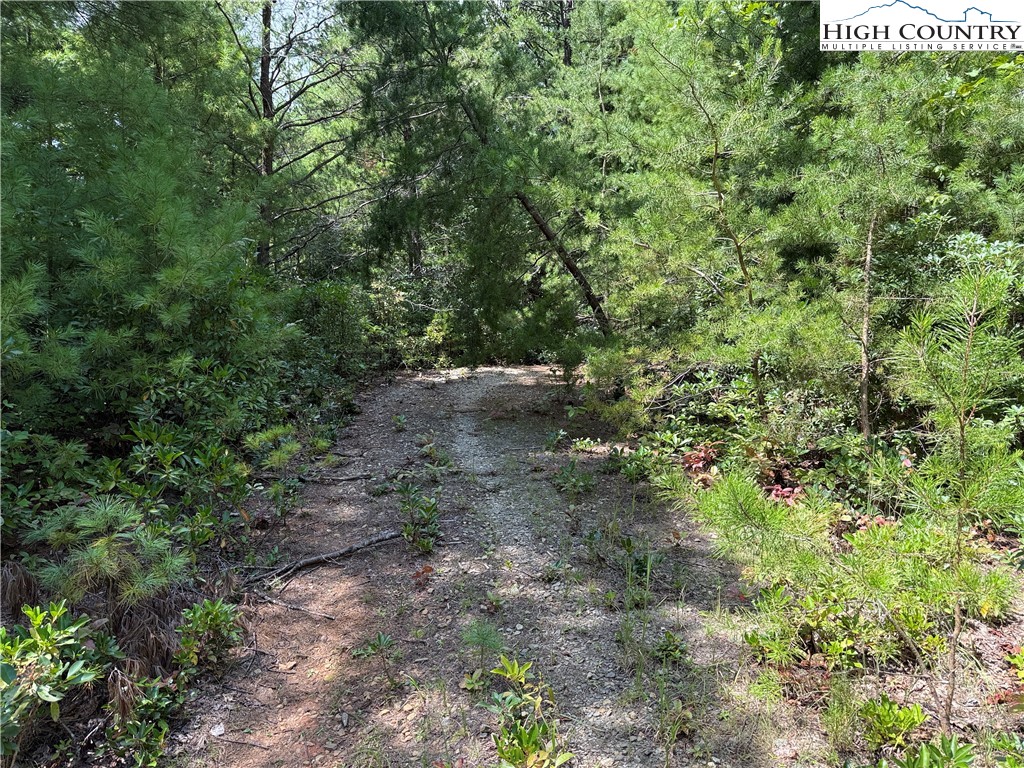 Lot 163 Staghorn Road Purlear, NC 28665 - Photo 2 of 40